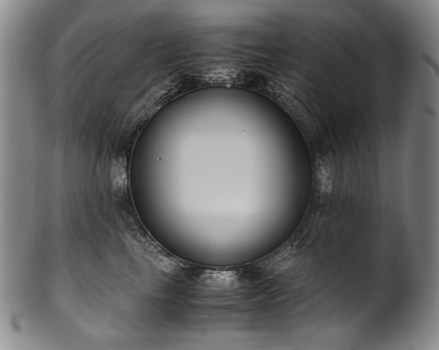 X0000102470665200808081251