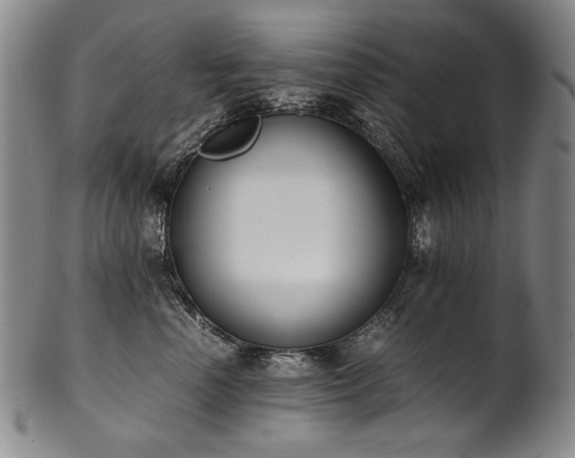 X0000102470666200808081252