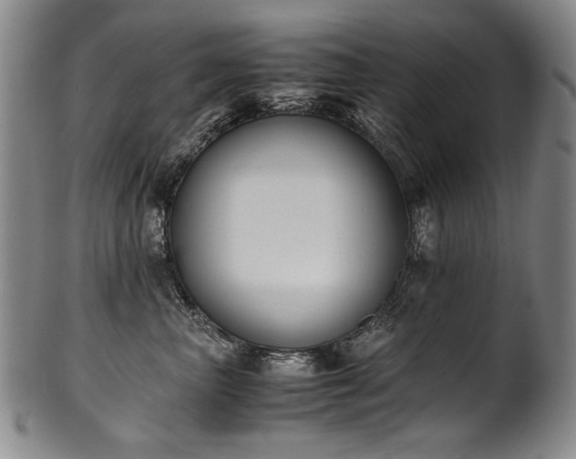 X0000102470667200808081252
