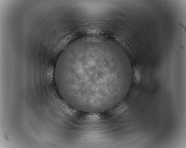 X0000102470668200808081252