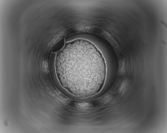 X0000102470669200808081252