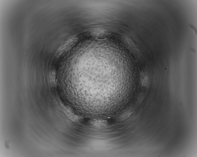 X0000102470670200808081252