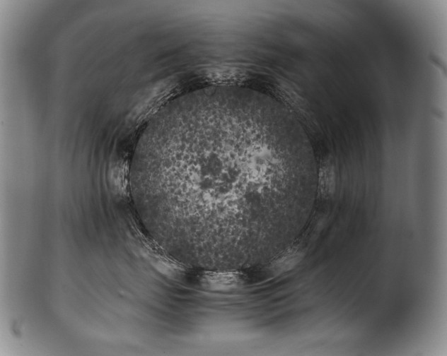 X0000102470671200808081252