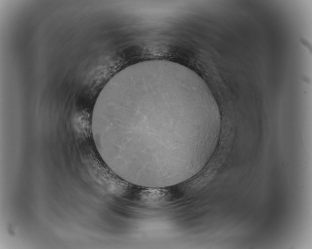 X0000102470672200808081252