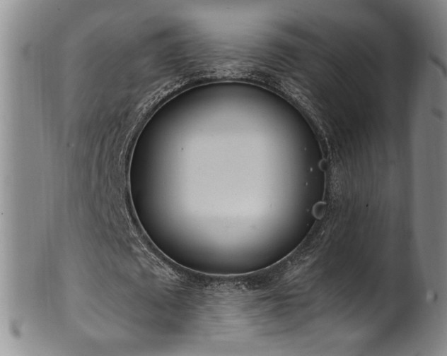 X0000102470673200808081251