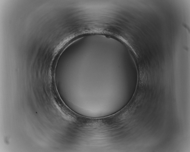 X0000102470674200808081251