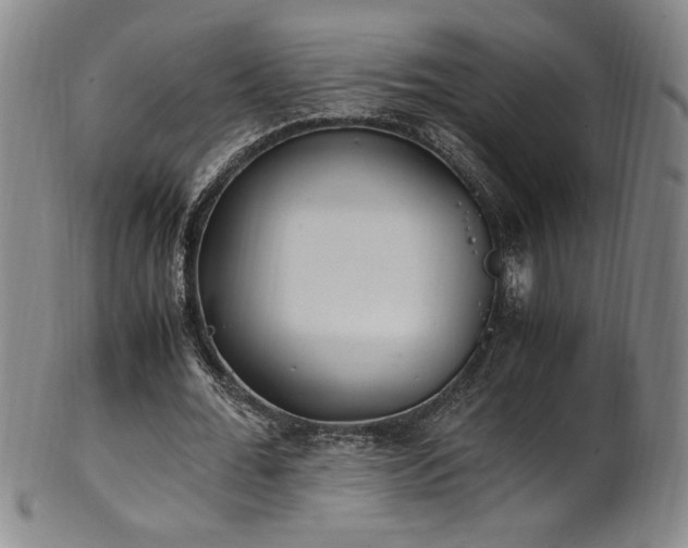 X0000102470676200808081251