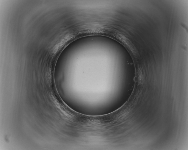 X0000102470677200808081251