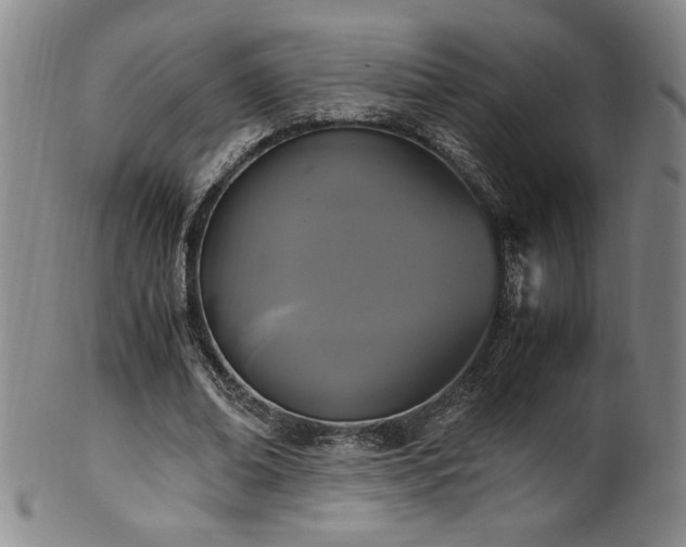 X0000102470678200808081251