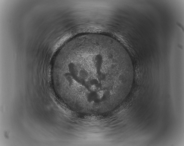 X0000102470679200808081251