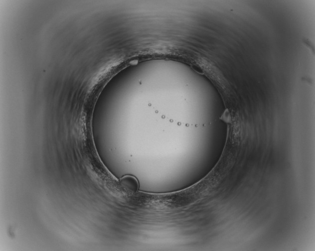 X0000102470680200808081251