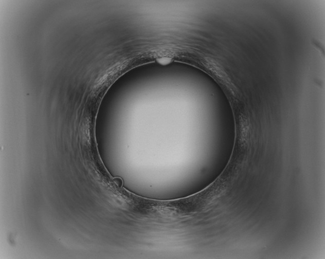 X0000102470681200808081251