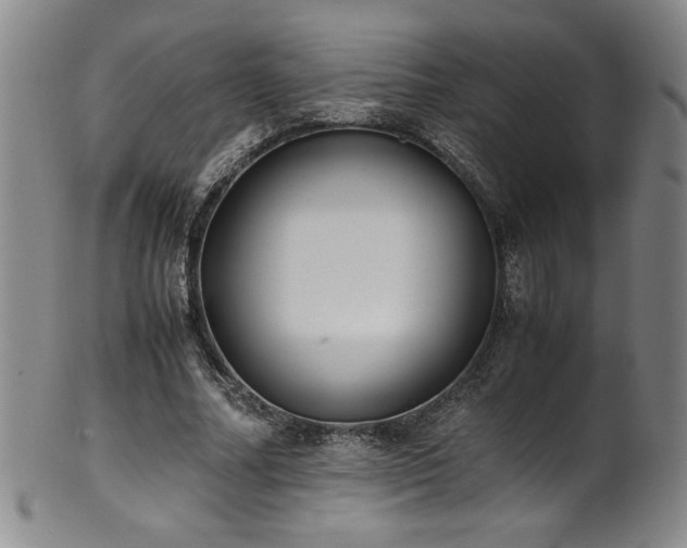 X0000102470682200808081251