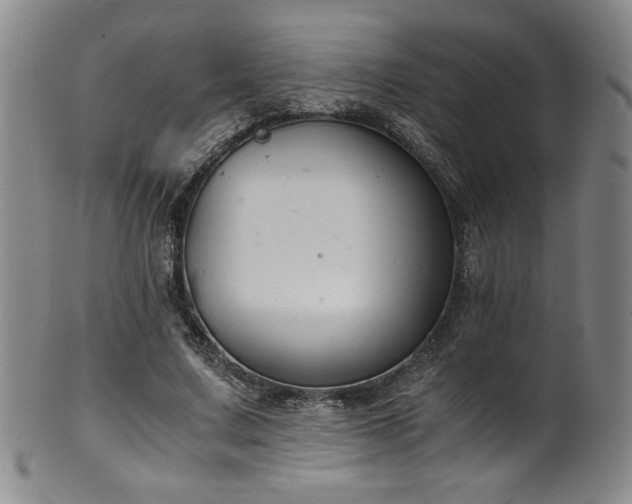 X0000102470683200808081251