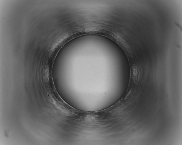 X0000102470684200808081251