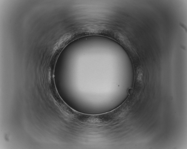 X0000102470685200808081251