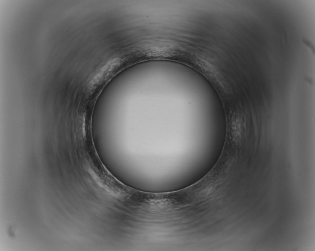 X0000102470686200808081251