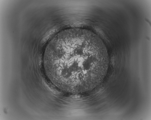 X0000102470687200808081251