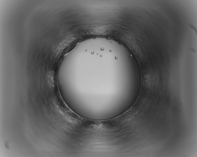 X0000102470688200808081251