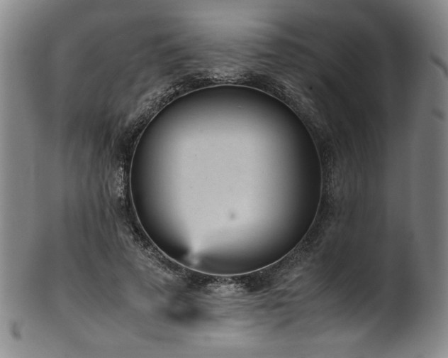 X0000102470689200808081251