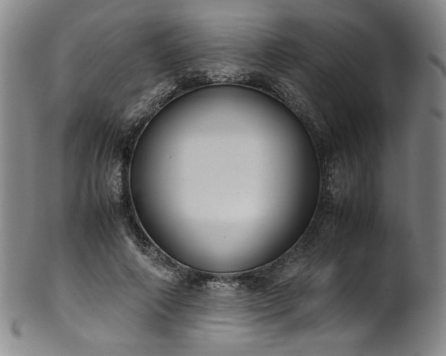 X0000102470690200808081251