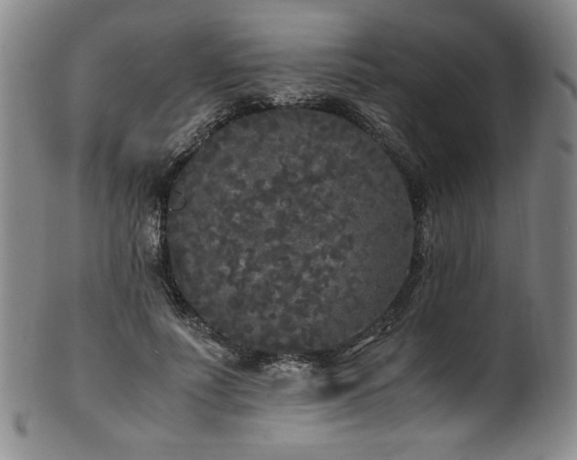 X0000102470691200808081251