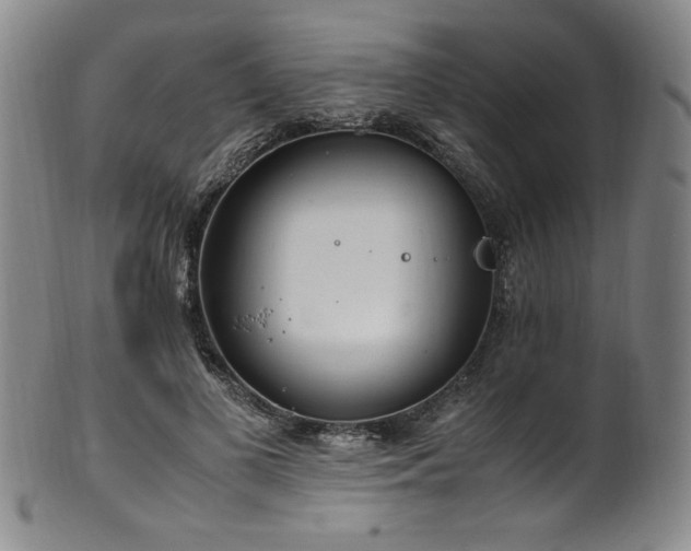 X0000102470693200808081251