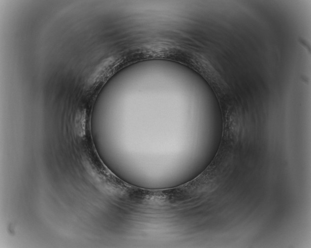 X0000102470694200808081251