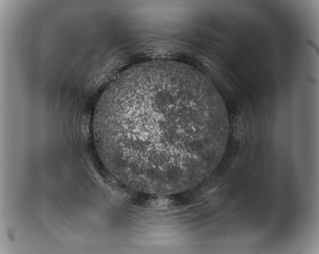 X0000102470695200808081251
