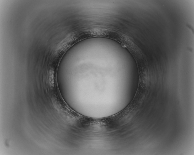 X0000102470696200808081251