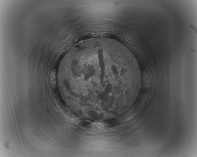 X0000102470699200808081251
