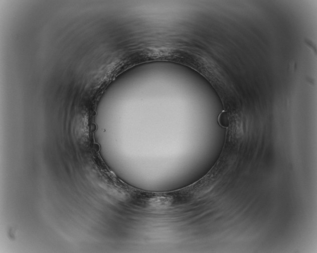 X0000102470700200808081251