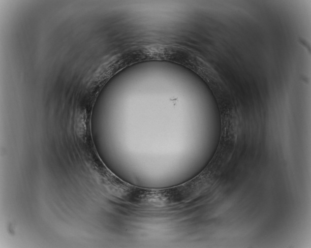 X0000102470702200808081251