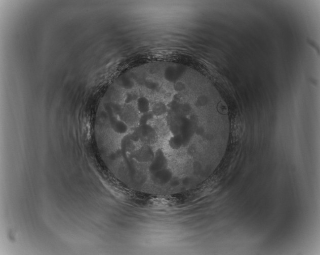 X0000102470703200808081251