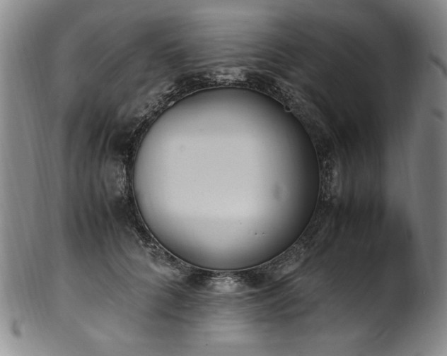 X0000102470704200808081251