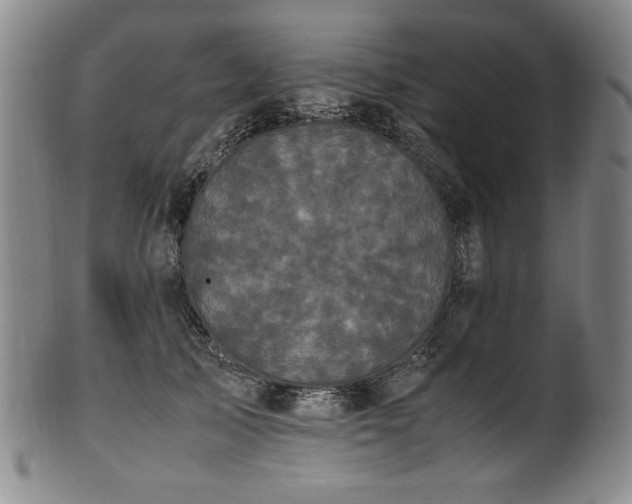 X0000102470705200808081250
