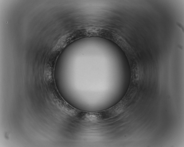 X0000102470706200808081250