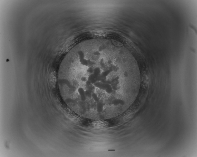 X0000102470707200808081250