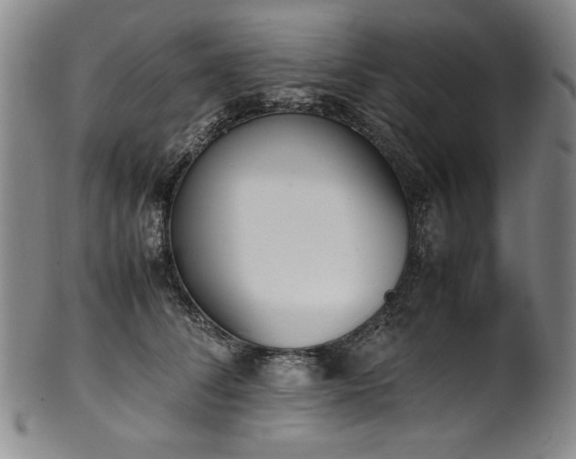 X0000102470708200808081250