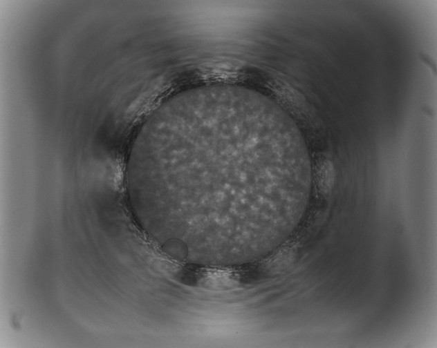 X0000102470709200808081250