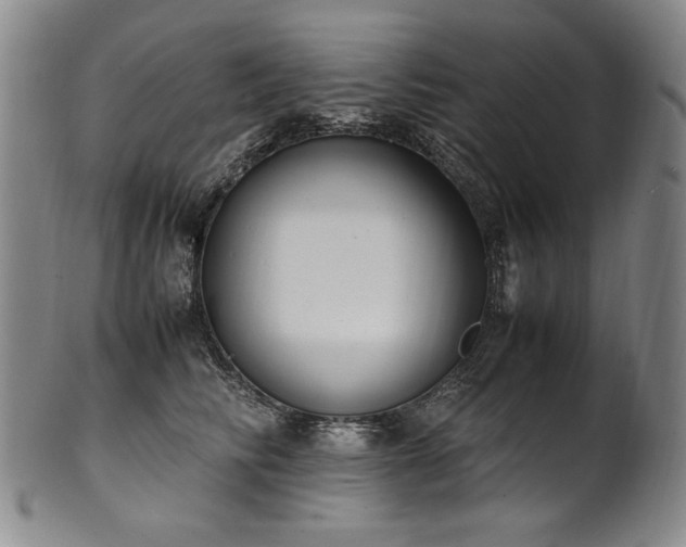 X0000102470710200808081250