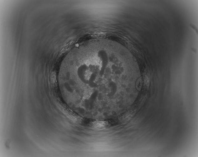 X0000102470711200808081250