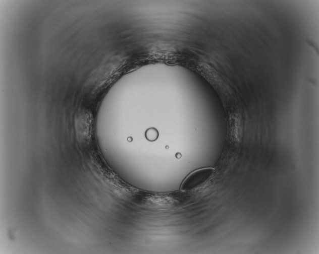 X0000102470712200808081250