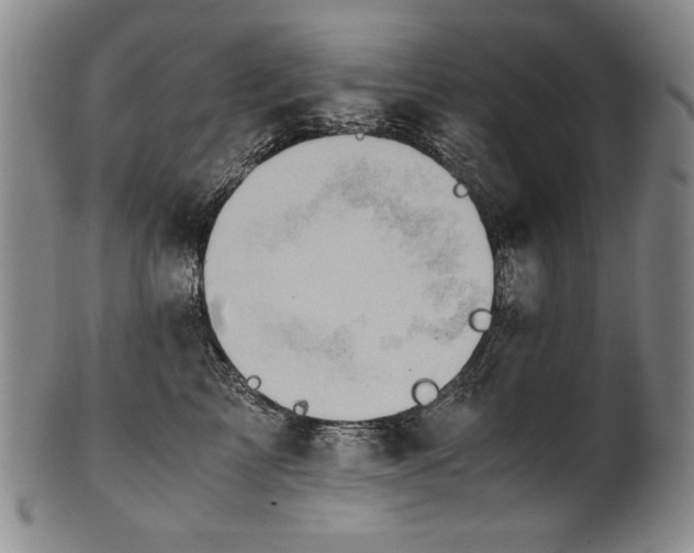 X0000102470713200808081250