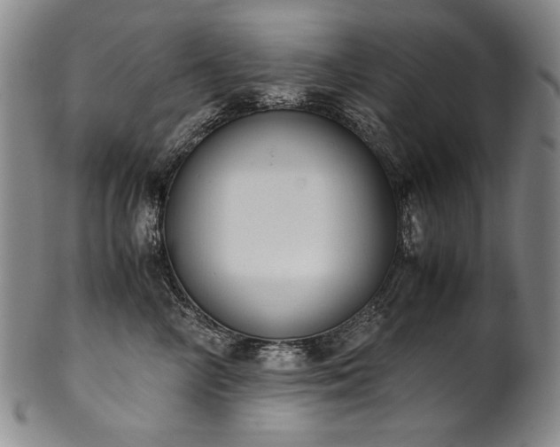 X0000102470714200808081250