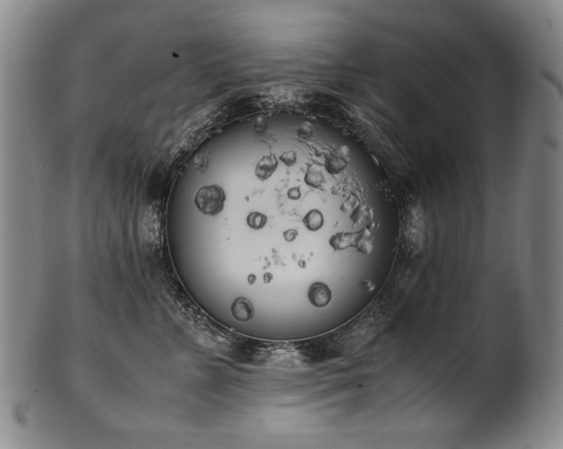 X0000102470715200808081250