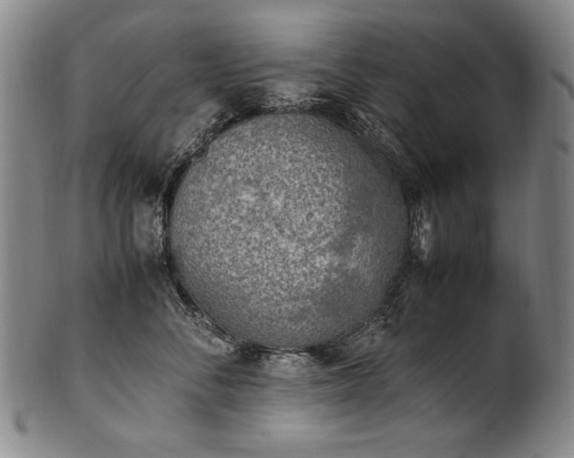 X0000102470716200808081250