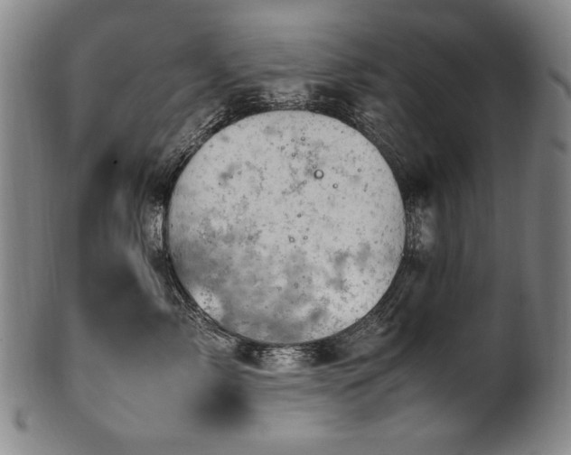 X0000102470717200808081250