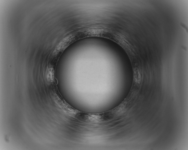X0000102470718200808081250