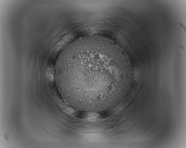 X0000102470719200808081250